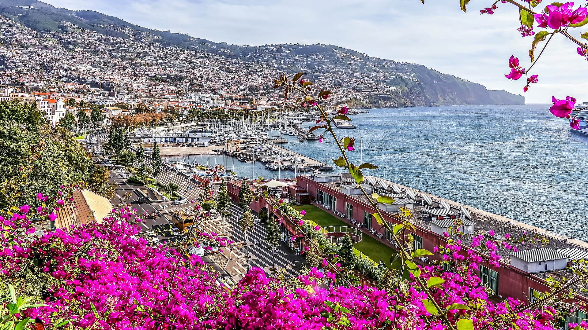 The harbour of Funchal in Madeira